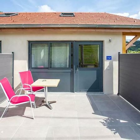 Domaine Des Ecuries - Appartements Meubles A Talloires Exterior foto
